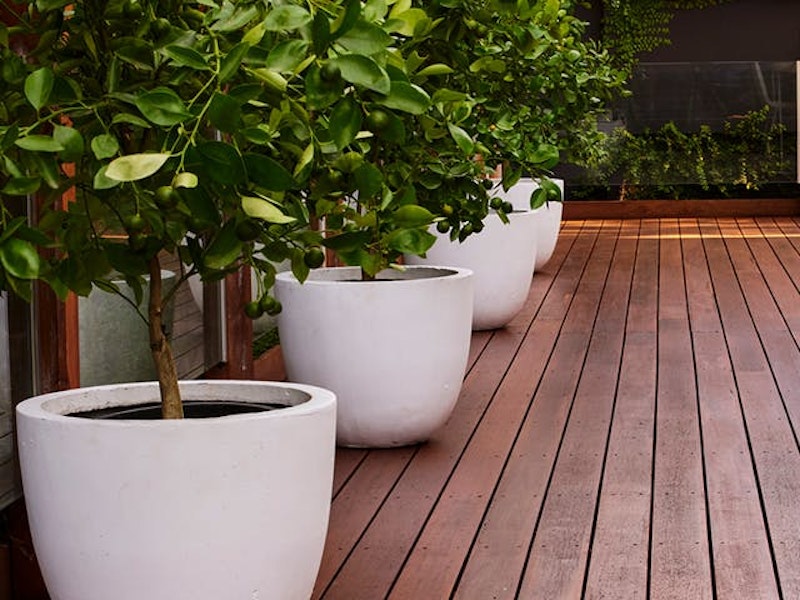 Our Guide To Choosing The Right Coating For Your Deck