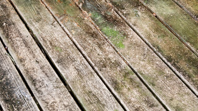 Mouldy timber deck