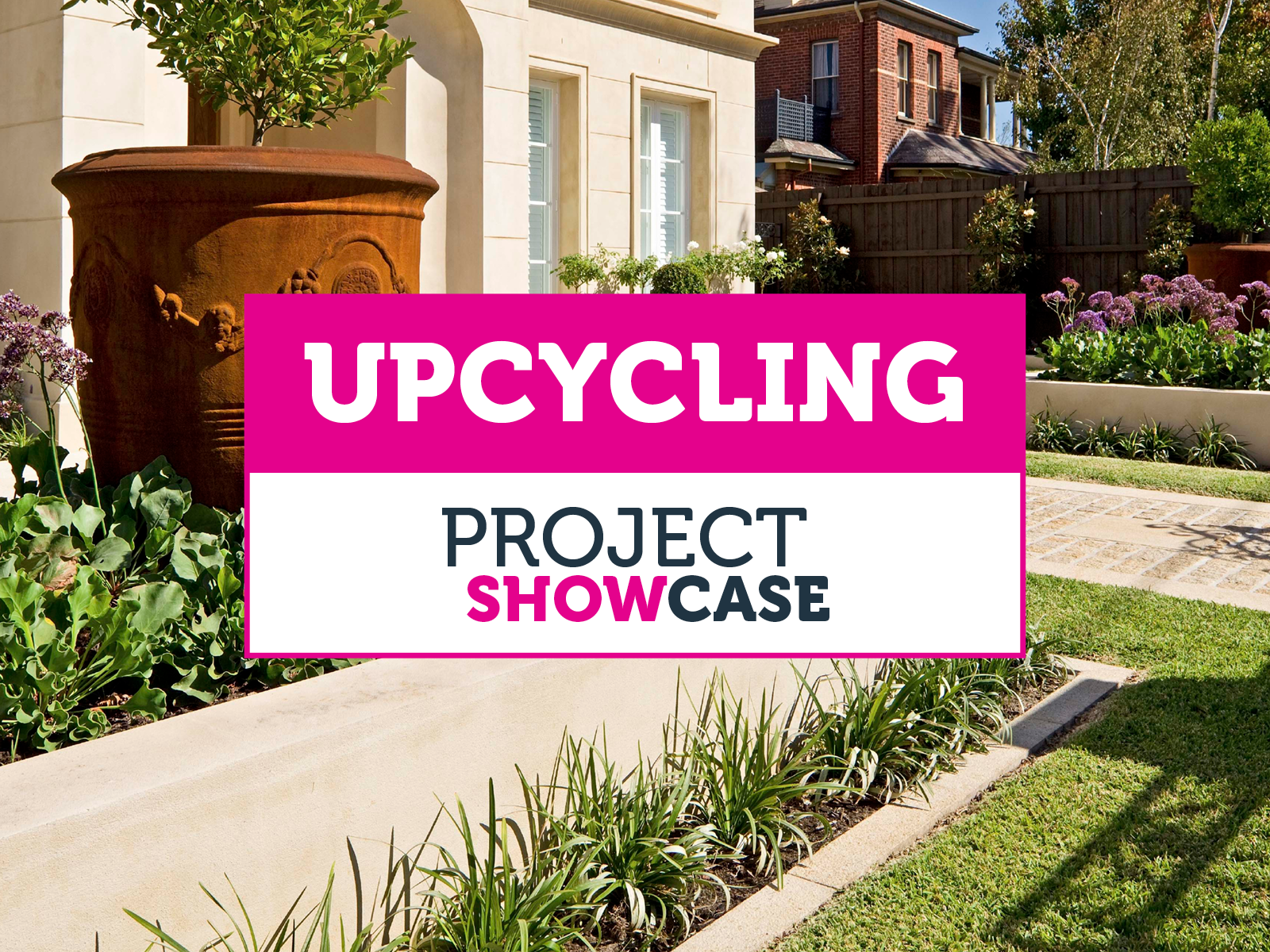 Woodcare Project Showcase
